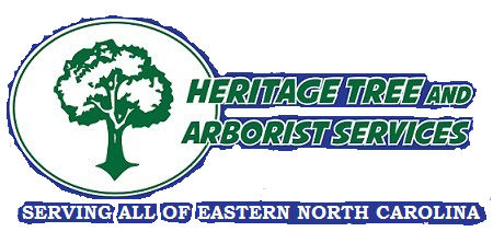 Heritage Tree Removal & Arborist Services